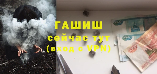 бошки Дубна