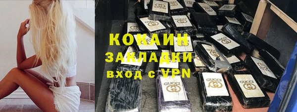 бошки Дубна