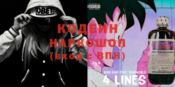 бошки Дубна