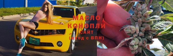 бошки Дубна