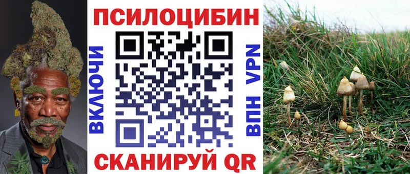 Псилоцибиновые грибы прущие грибы  Инсар 